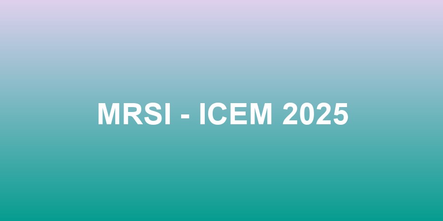 MRSI - ICEM 2025